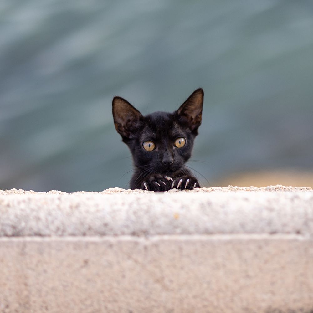 Photograph by Ingrida Pukaite