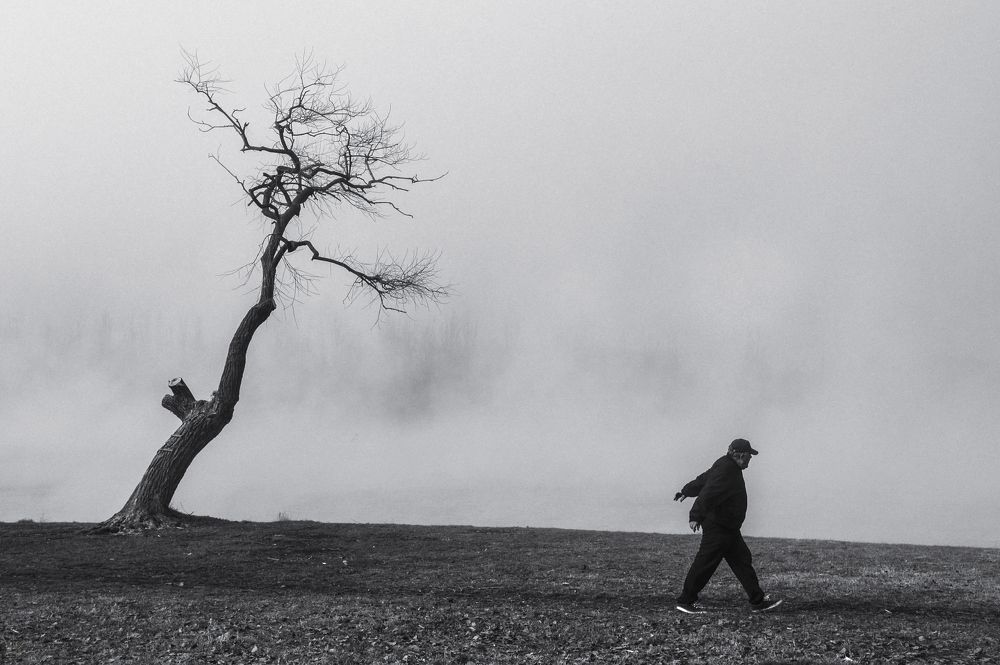 Photograph by Елена Шевченко