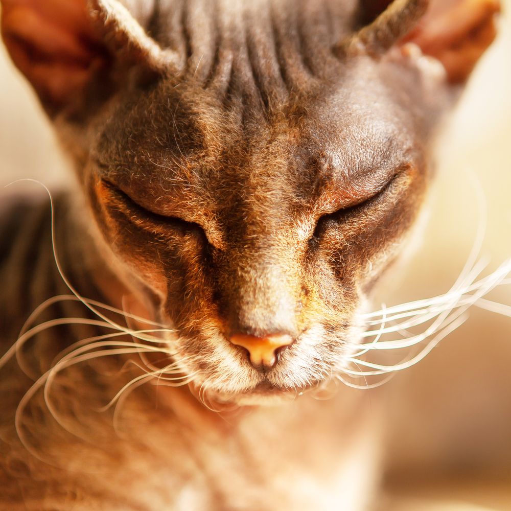 Photograph by Наталья Саксонова