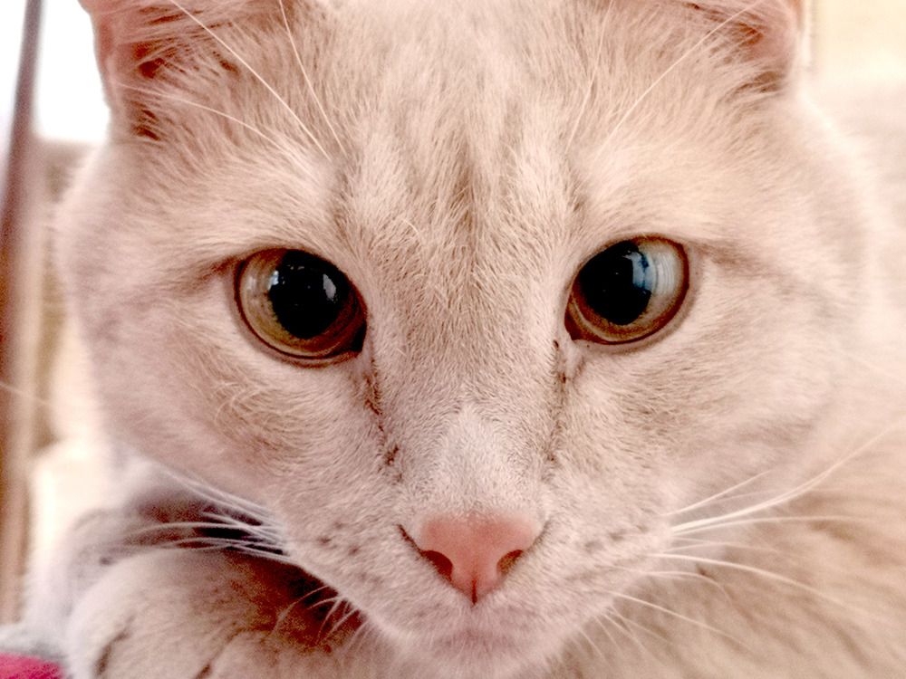 Photograph by Marina Razheva