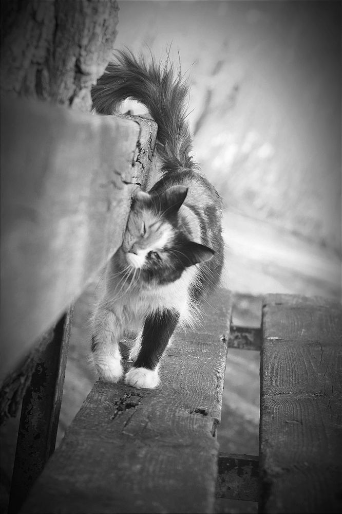 Photograph by 