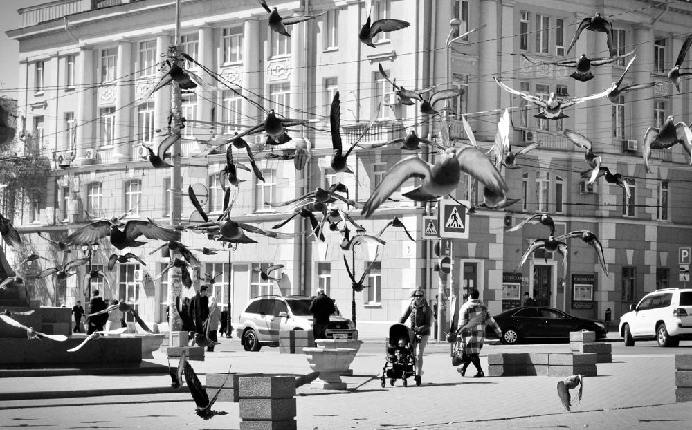 Photograph by Армен Арутюнов