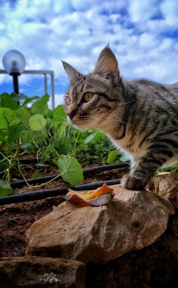 Photograph by Наталья Рау