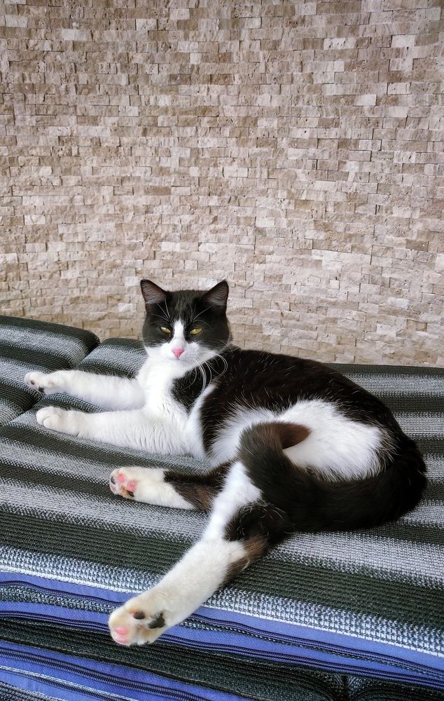 Photograph by Наталья Рау