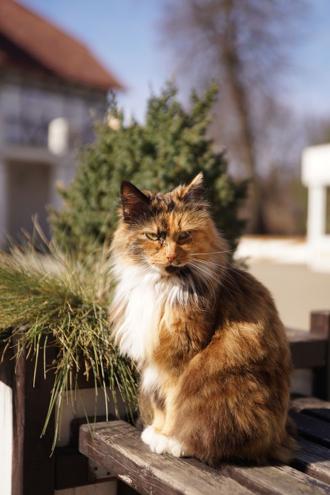 Photograph by Ольга Рачилова