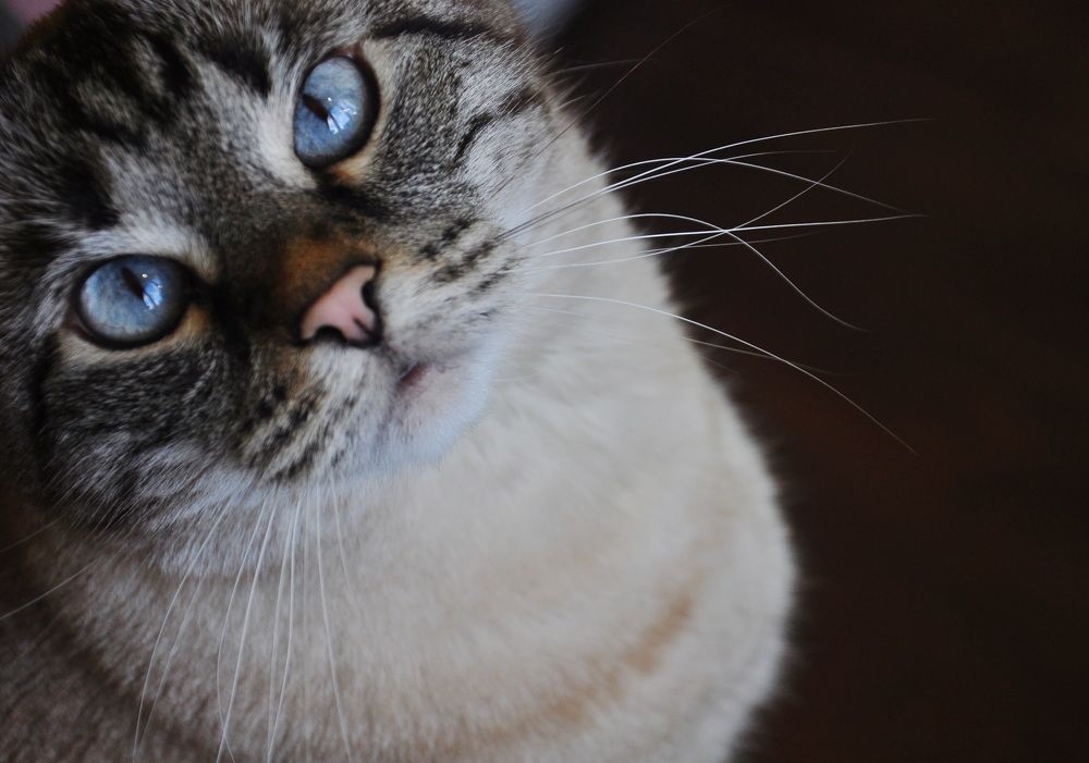 Photograph by Анна