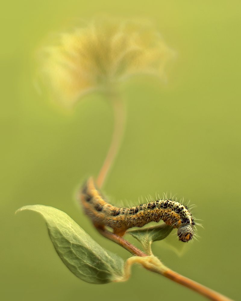 Photograph by Глебова Екатерина