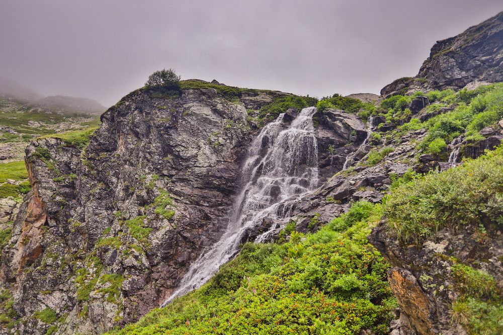 Photograph by Александр Перегоненко