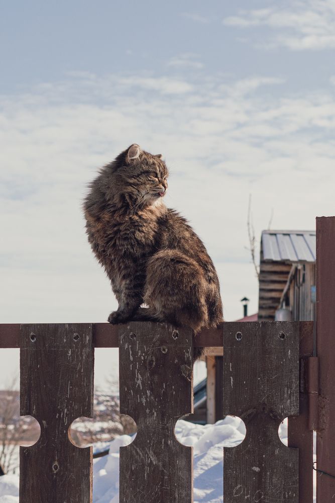 Photograph by Ольга Рачилова