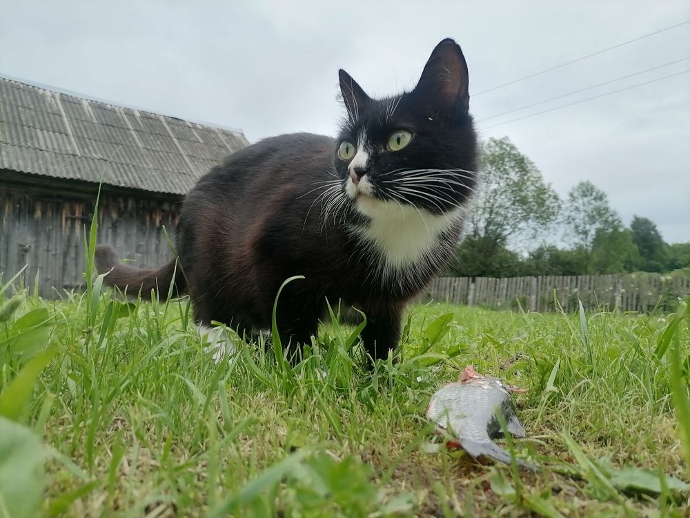 Photograph by Юлия Локалова