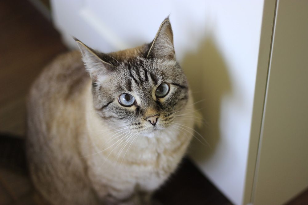 Photograph by Анна