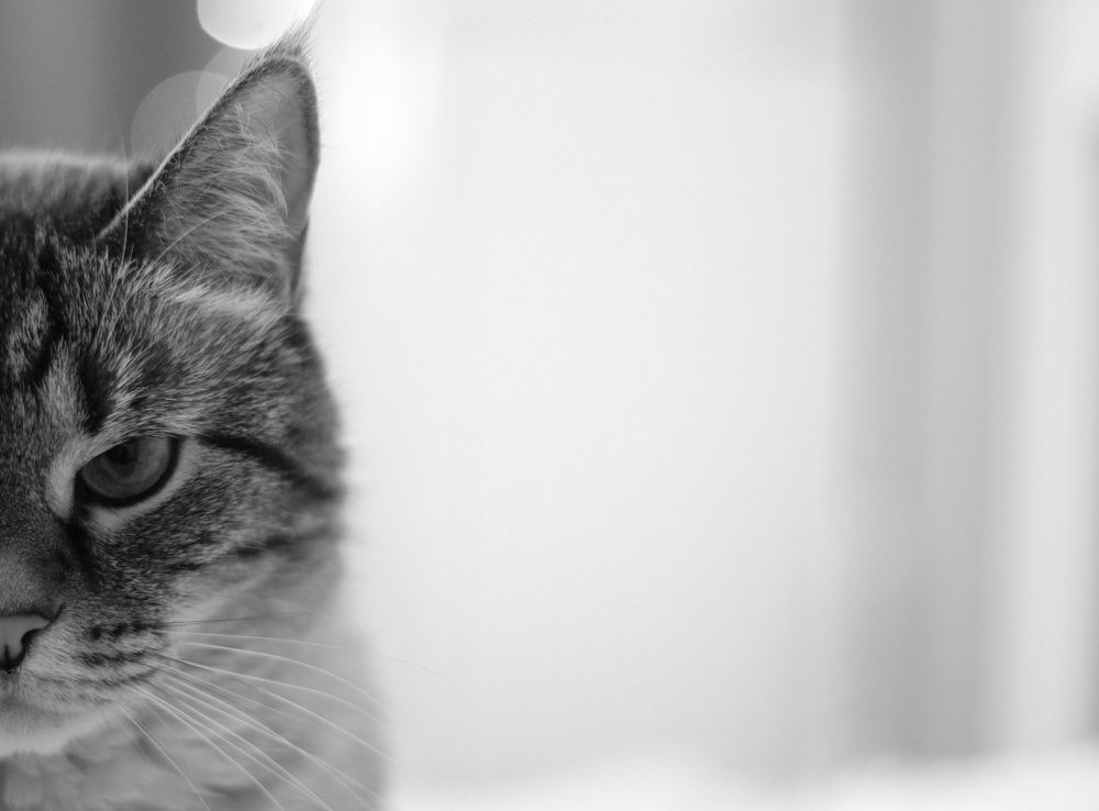 Photograph by Анна