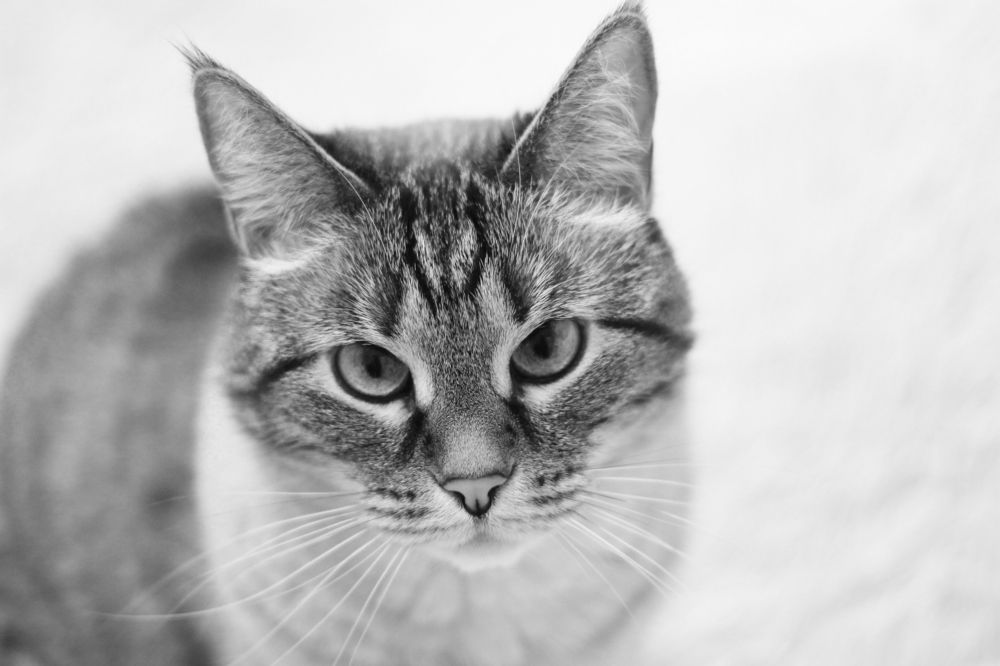 Photograph by Анна