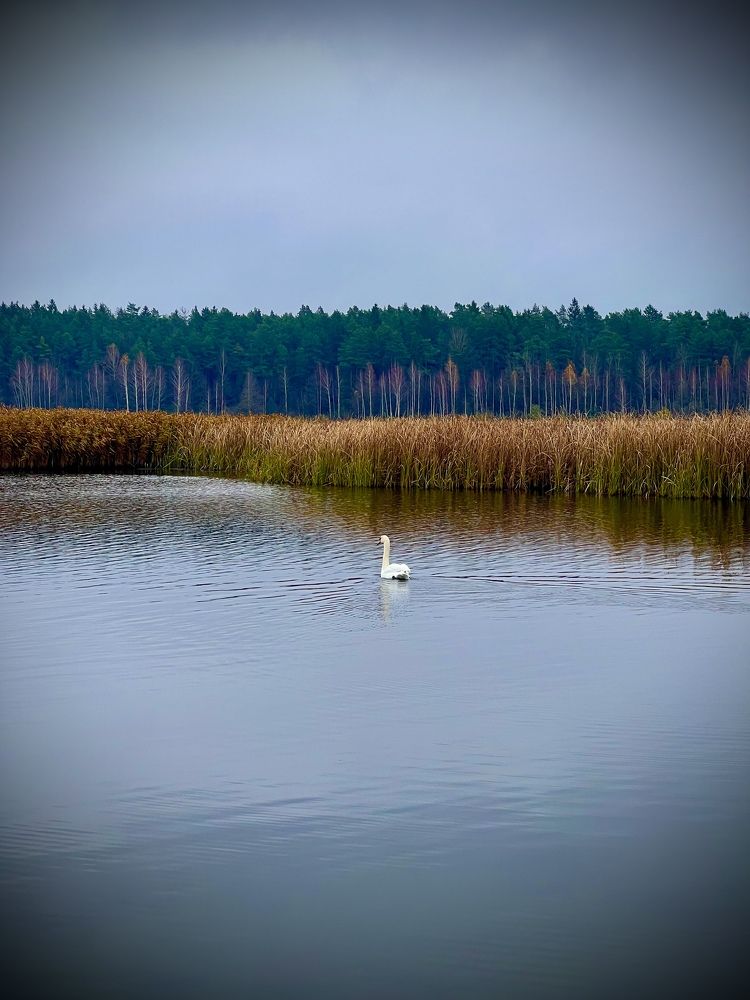 Photograph by Николай Курочкин
