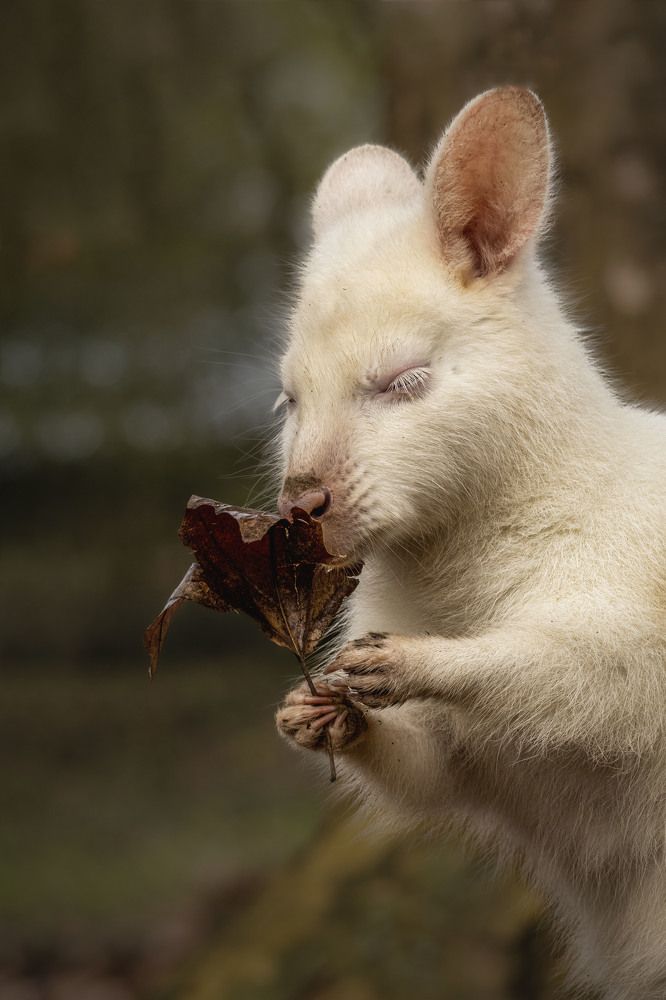 Photograph by Markéta Mastešová