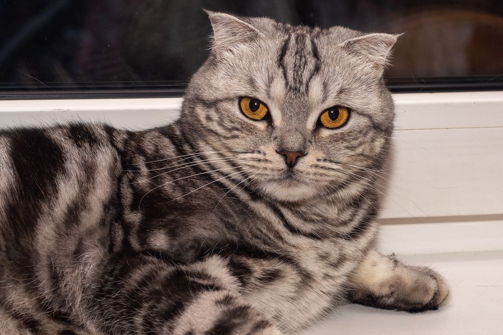 Photograph by Дмитрий Мостовой