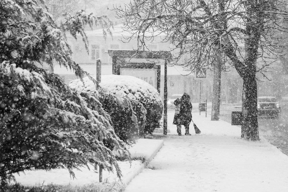 Photograph by Елена Покрепа