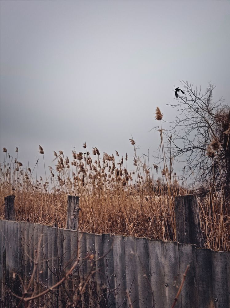 Photograph by Ольга Бакурская