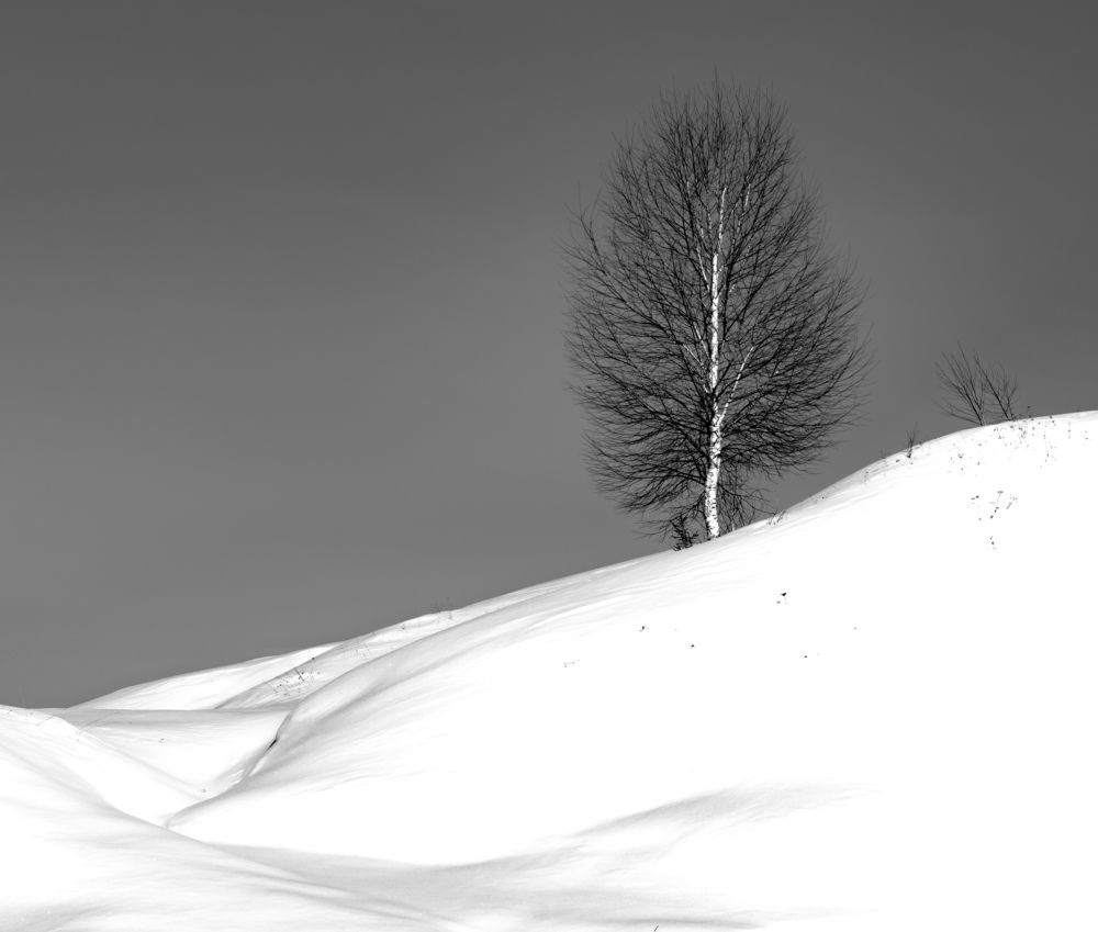 Photograph by Сергей Шерстнев