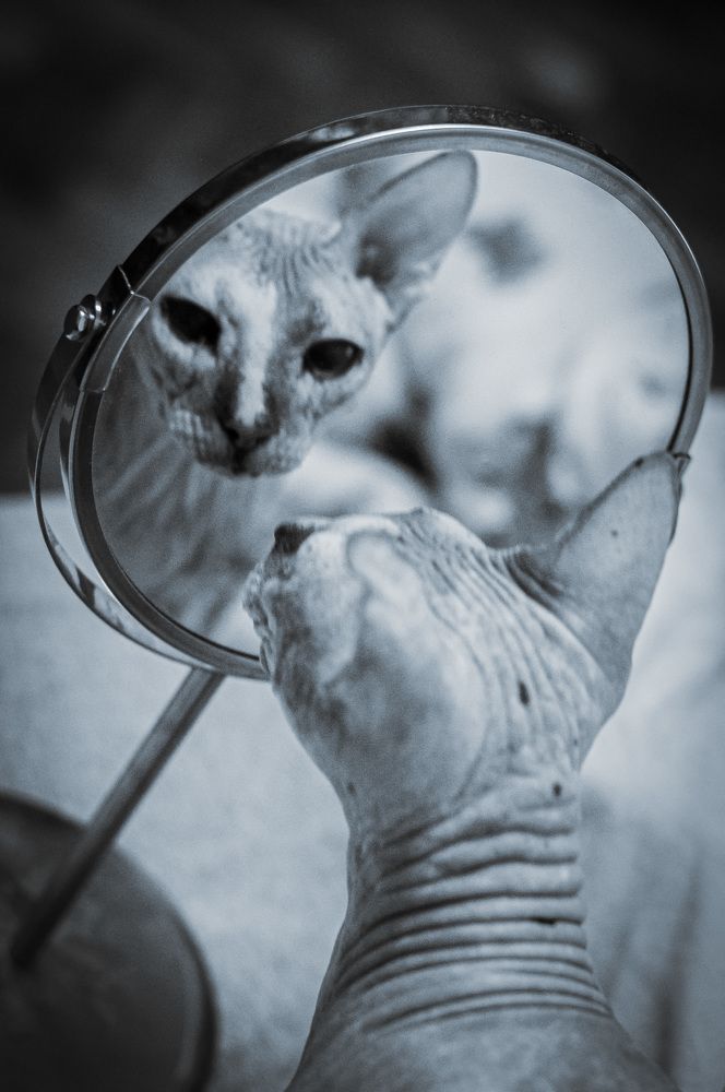 Photograph by Олеся Лагутина