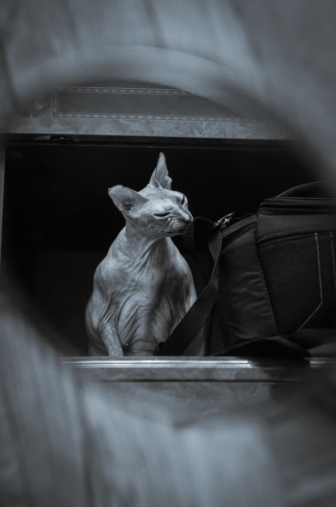 Photograph by Олеся Лагутина