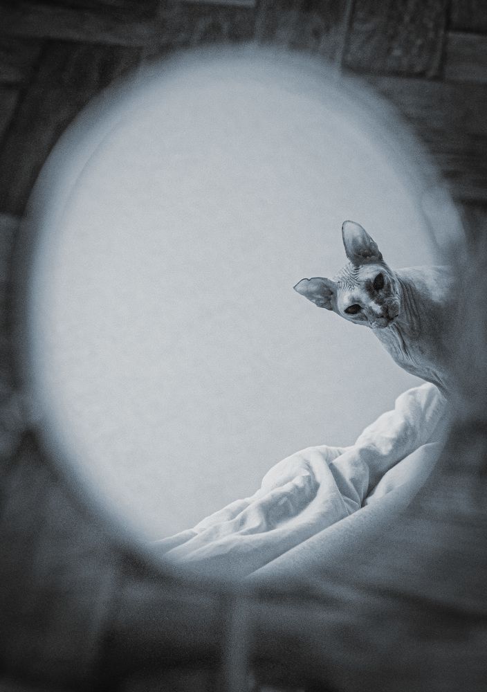 Photograph by Олеся Лагутина