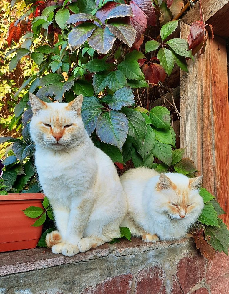 Фотография автора Ольга Кунакова