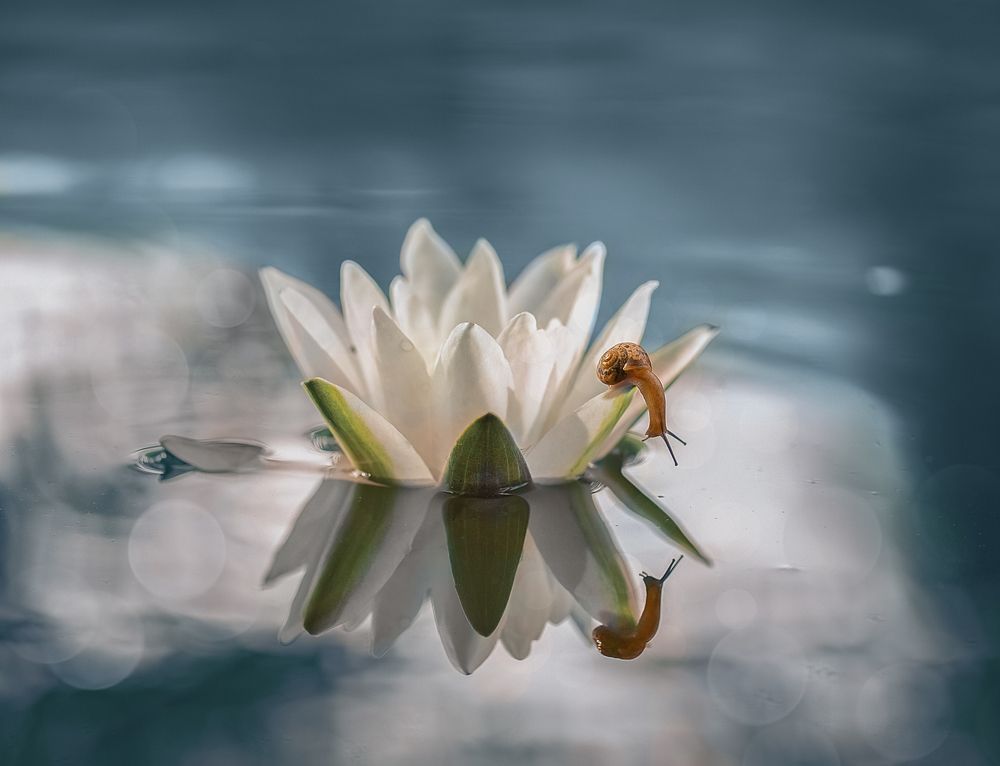 Никого, кроме меня..