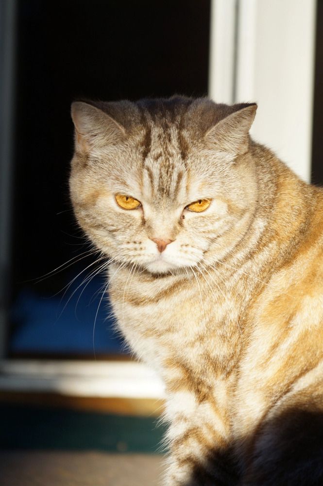 Photograph by Константин