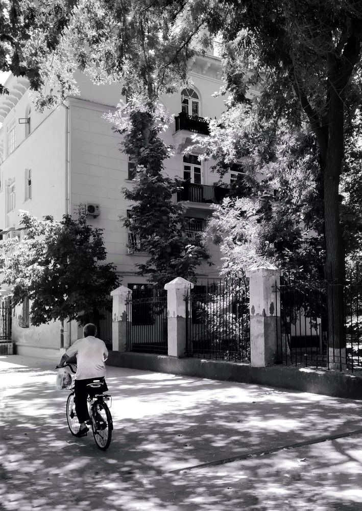 Photograph by Anastasiya Danilova