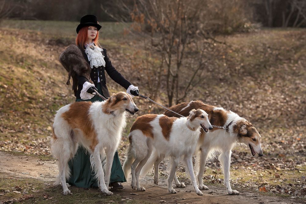 Photograph by Людмила Прошина