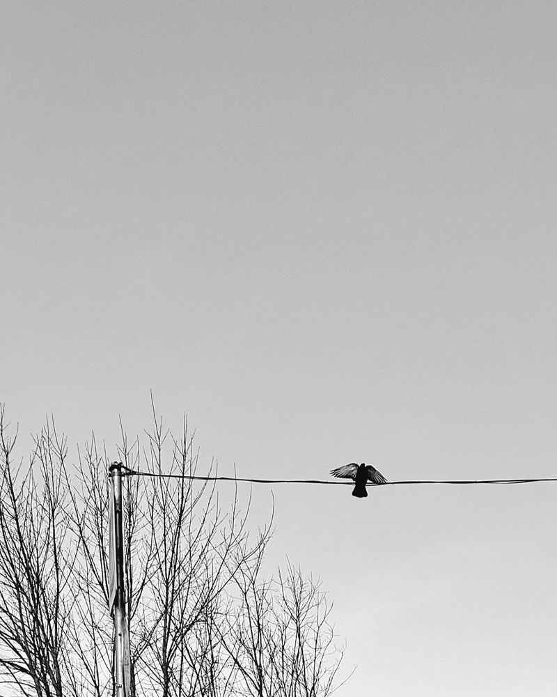 Photograph by Margarita Terentyeva