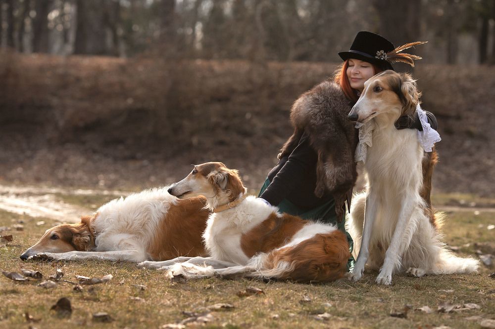 Photograph by Людмила Прошина