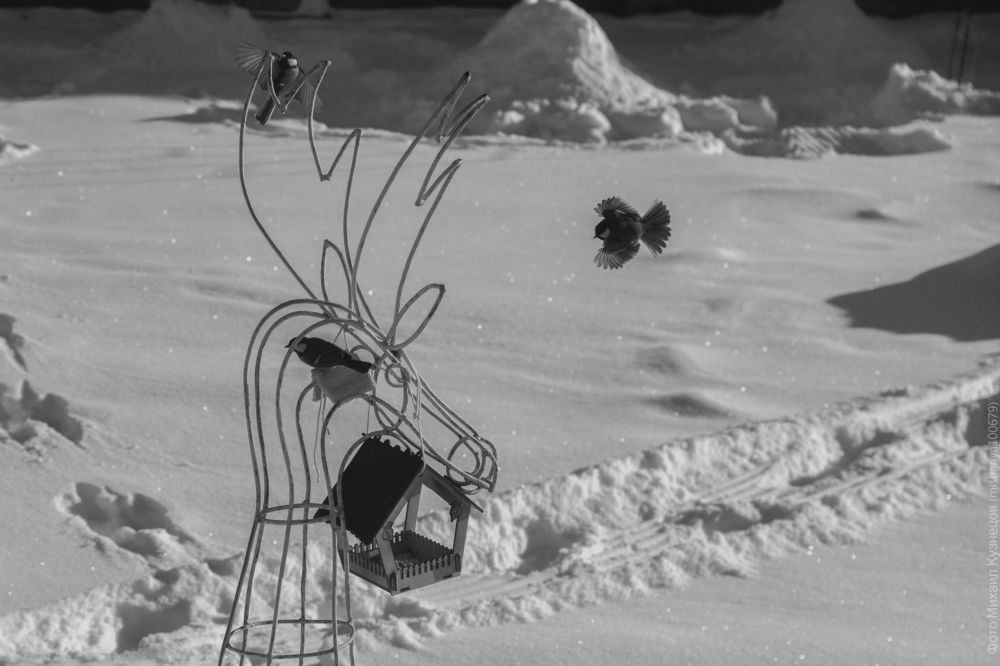 Фотография автора Михаил Кузнецов