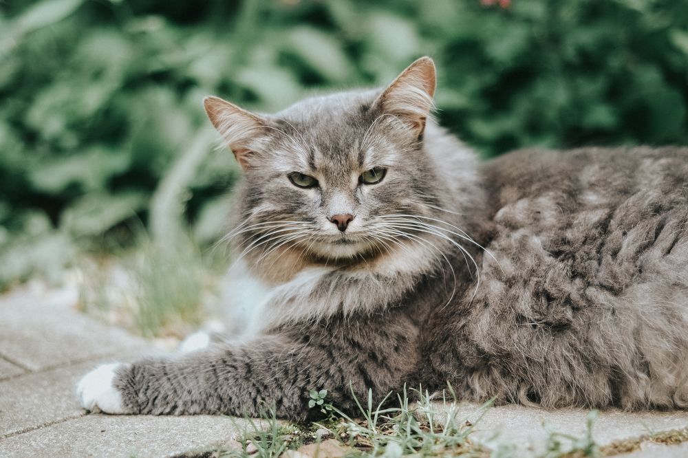 Photograph by Мария Шерер