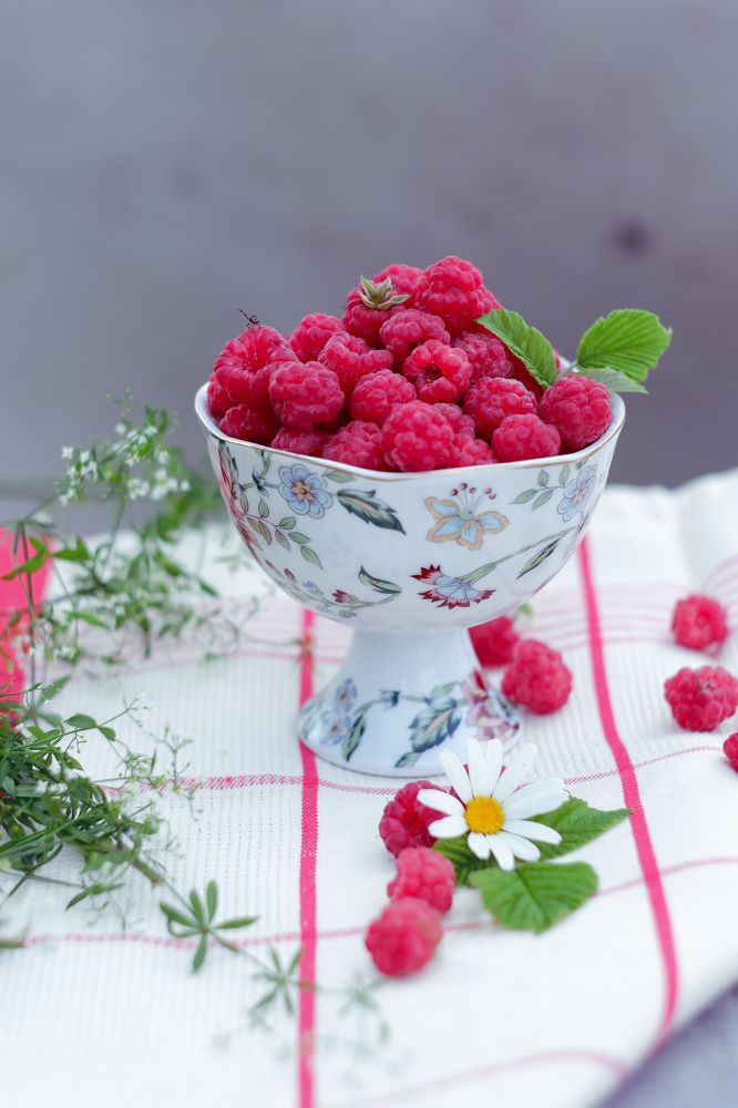 Фотография автора Екатерина Карасева