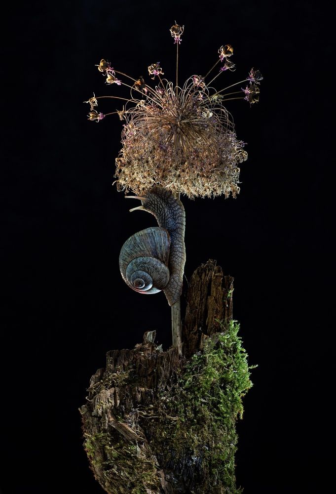 Фотография автора Черновол Валентин