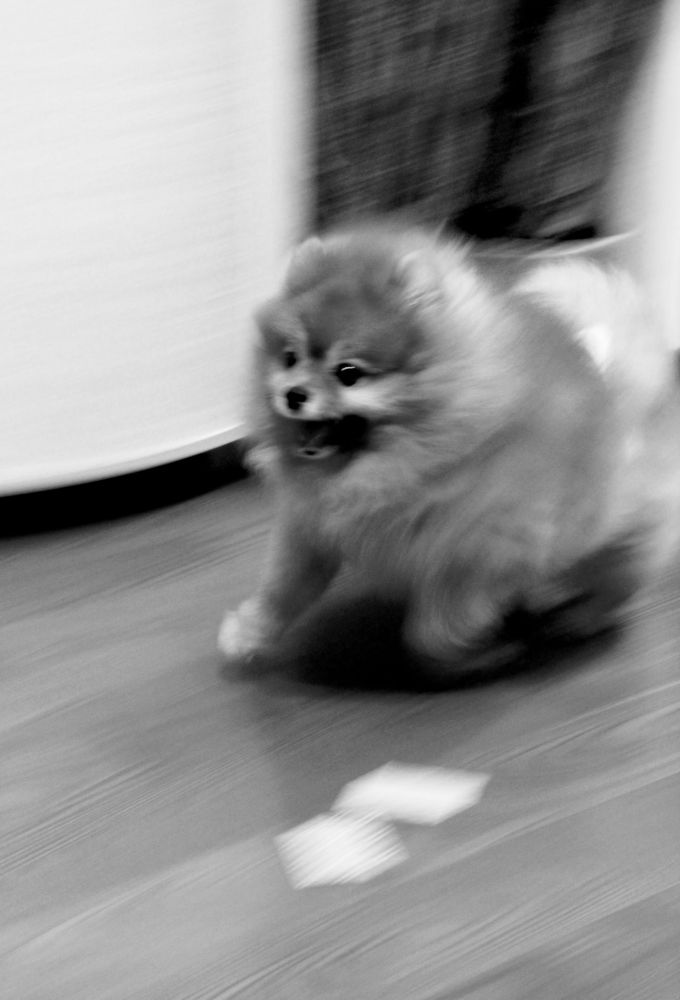 Photograph by Oksana Sabeleva