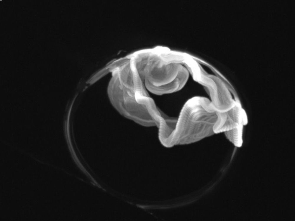 Photograph by Aude Nommick