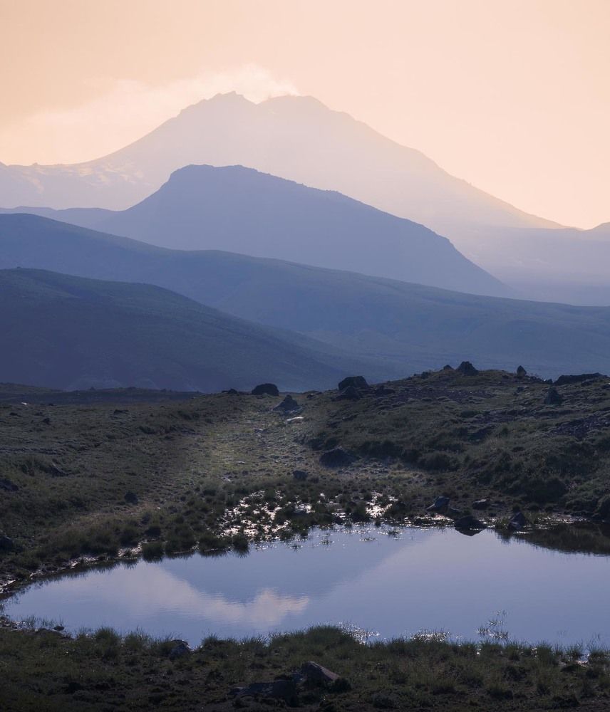 Фотография автора Татьяна Добровольская