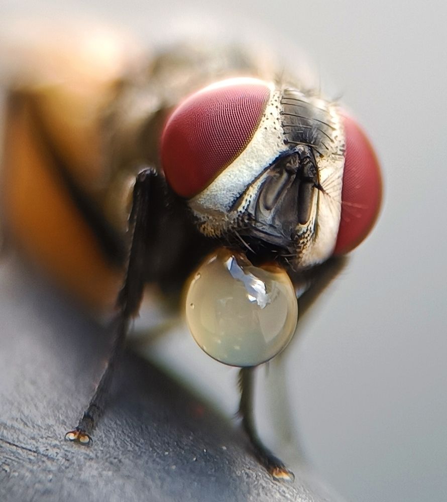 Photograph by Susmita Ghosh