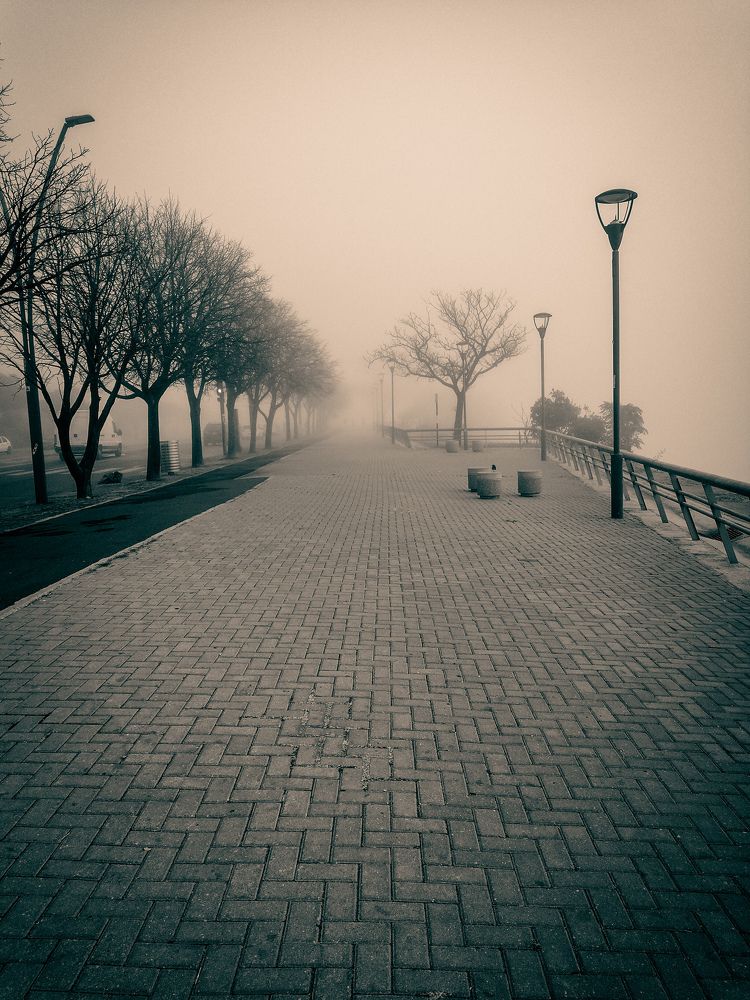 Photograph by Silvina Sánchez