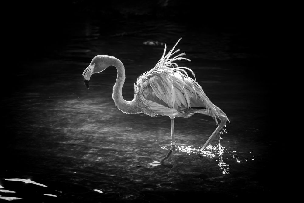 Photograph by Silvina Sánchez