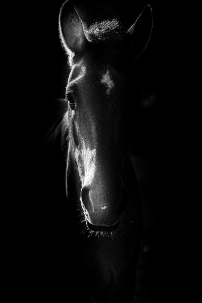 Photograph by Silvina Sánchez