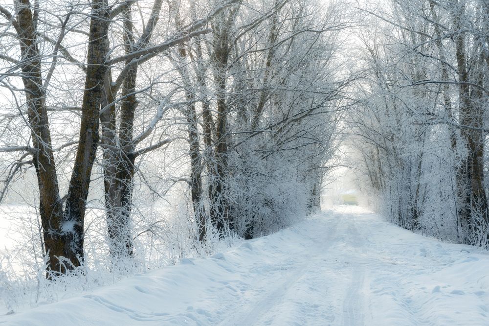 Photograph by Jonny Om