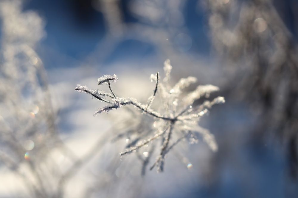 Photograph by Екатерина