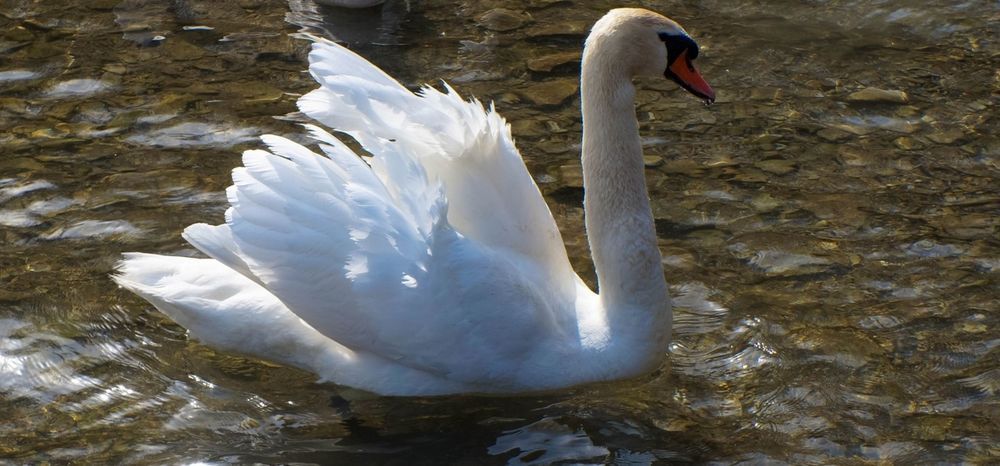 Photograph by Ирина Босак