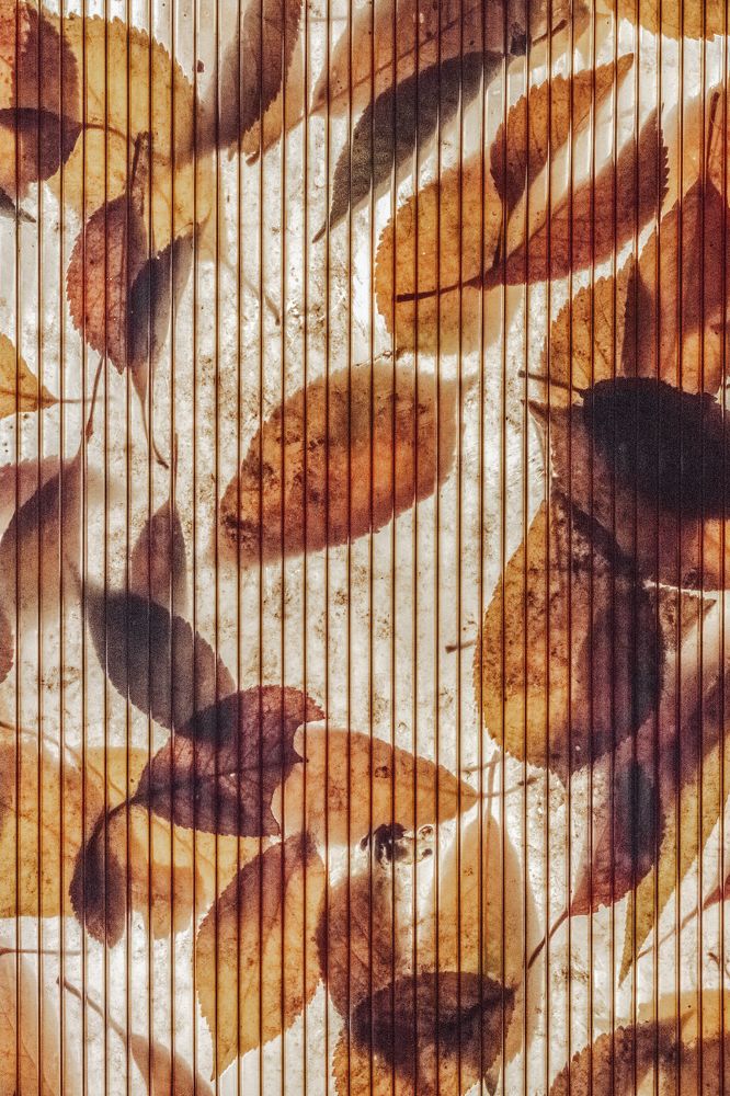 Photograph by Степан Ковыльчик