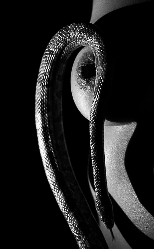 Photograph by Богдан Тарасов