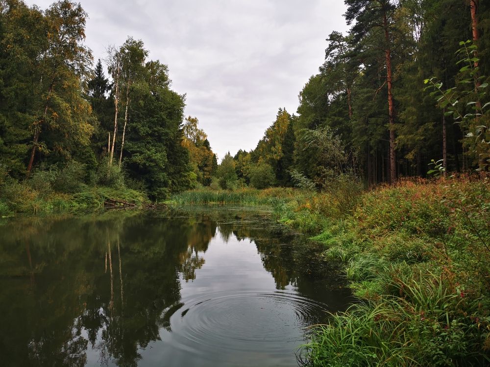 Photograph by Анна